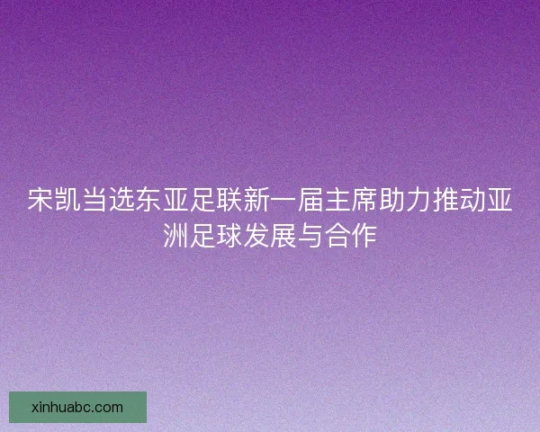 宋凯当选东亚足联新一届主席助力推动亚洲足球发展与合作 宋凯当选东亚足联新一届主席助力推动亚洲足球发展与合作